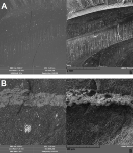 Detailed backscattered-electron (BSE) und secondary-electron (SE) images
