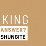 schungit faq