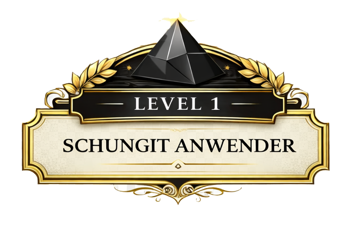 Schungit Akademie: Level 1 – Schungit Anwender (Schungit-Wasser)