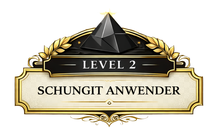 Schungit Akademie: Level 2 – Schungit Anwender (Fortgeschritten)
