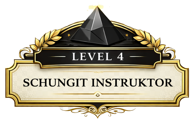 Schungit Akademie: Level 4 – Schungit Instruktor